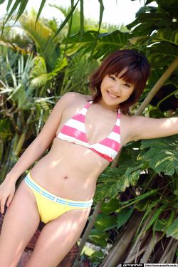 电视剧决战
